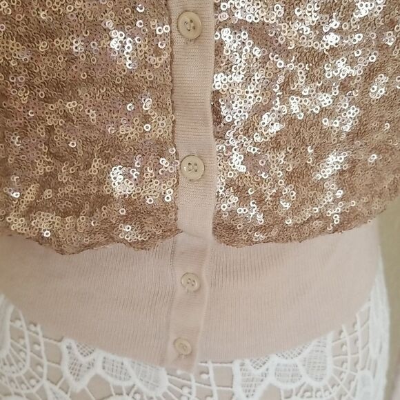 Ann Taylor 100% Wool Sequin Sweater - Picture 3 of 6